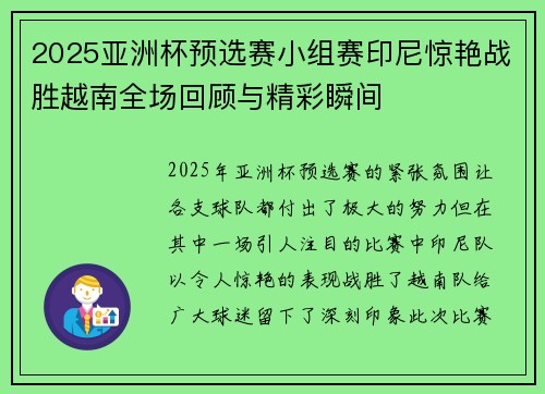 2025亚洲杯预选赛小组赛印尼惊艳战胜越南全场回顾与精彩瞬间